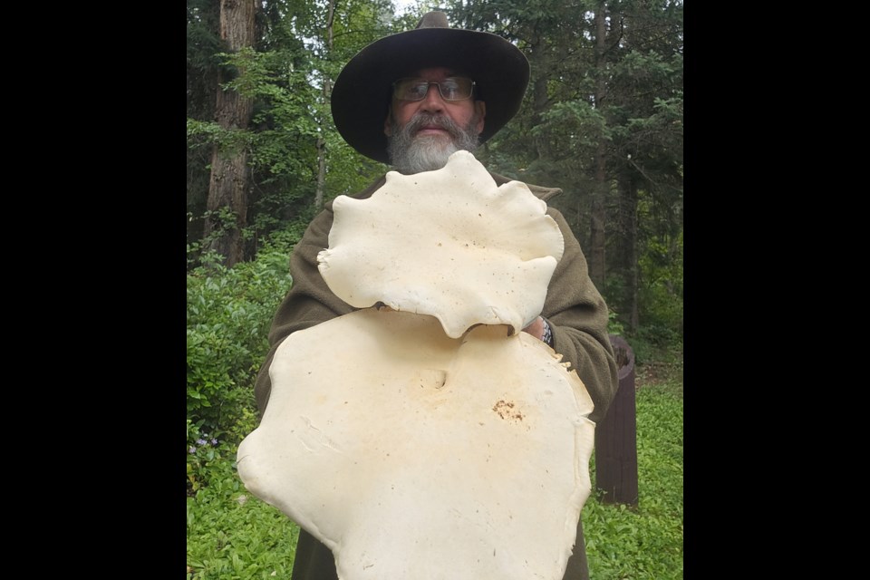 Larry Johnson holds one of the mushrooms he harvested earlier this year in the Prince George area.