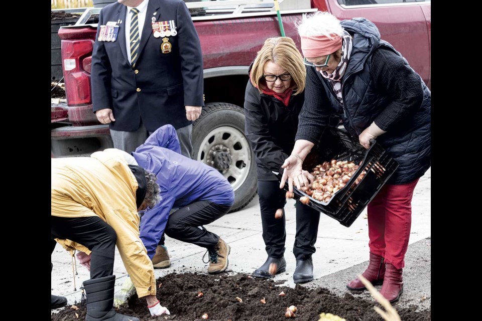 Shirley Bond encourages Fergus Kelly, 8, as he and Jos Van Hage make sure that tulip bulbs are sitting correctly before being covered with soil on George Street next to the Cenotaph Saturday. 