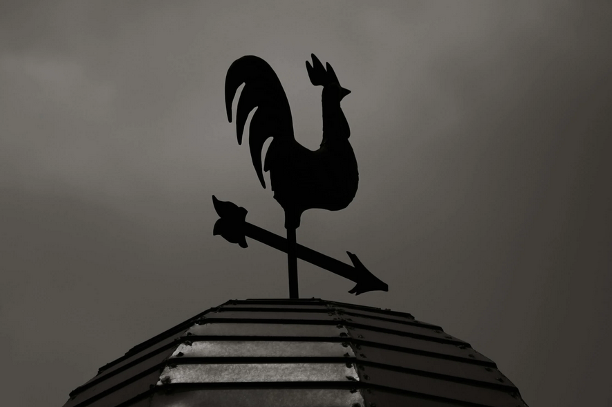 pgc-weathervane