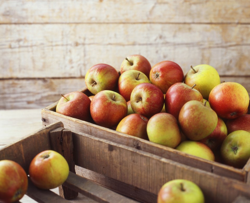 apples-stock-image