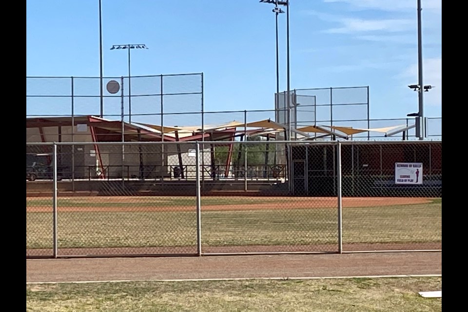 The ball fields at Mansel Carter Oasis Park in Queen Creek.