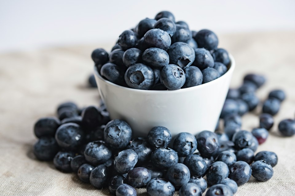 Recently, the U.S. Highbush Blueberry Council announced they are now the first-ever produce commodity to partner with Major League Pickleball, to reach a growing base of pickleball fans. Blueberries have long been celebrated for their nutritional benefits and delicious flavor. 