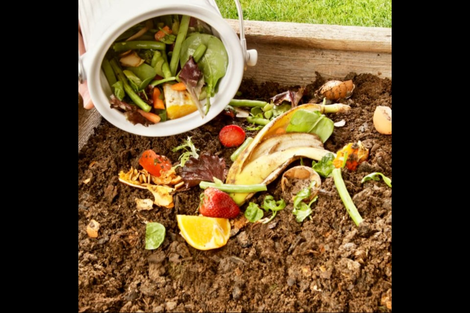 This weekend join in the Composting class to unlock the secrets of transforming kitchen scraps and yard waste into nutrient-rich, organic compost for your garden and beyond on March 9, 2024.