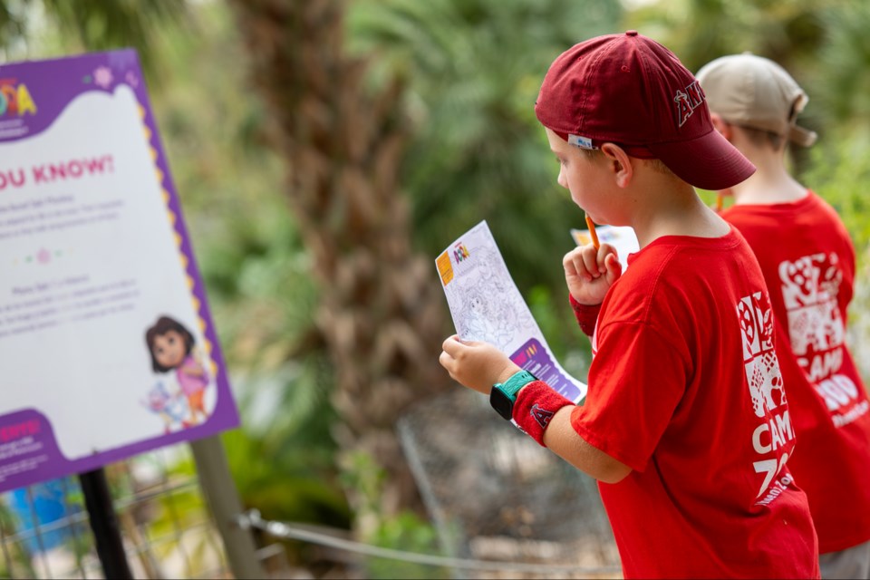 The Phoenix Zoo is partnering with Nickelodeon to celebrate the triumphant return of iconic Latina heroine "Dora the Explorer" with interactive activities for kids and families this summer.