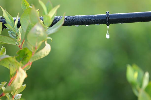 Water-saving drip irrigation system.