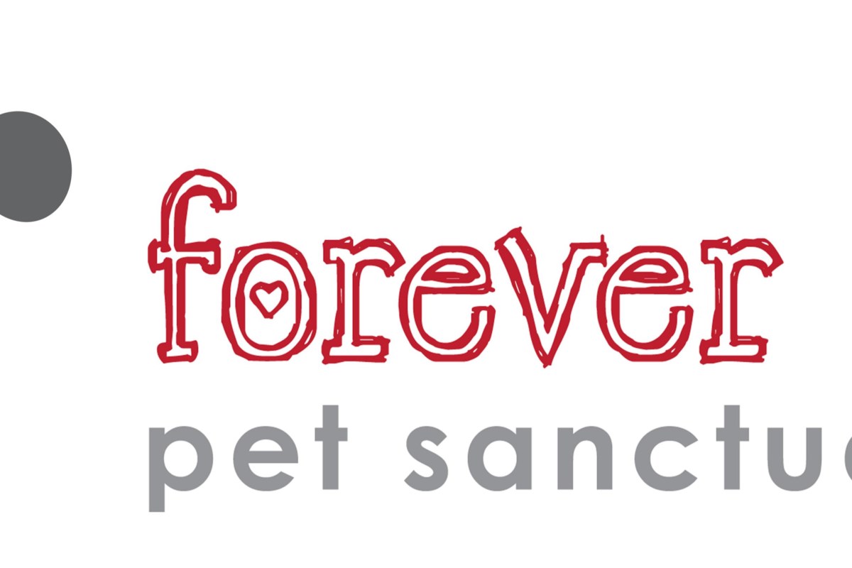 Forever Loved Pet Sanctuary to host summer online auction June 20-24 to ...