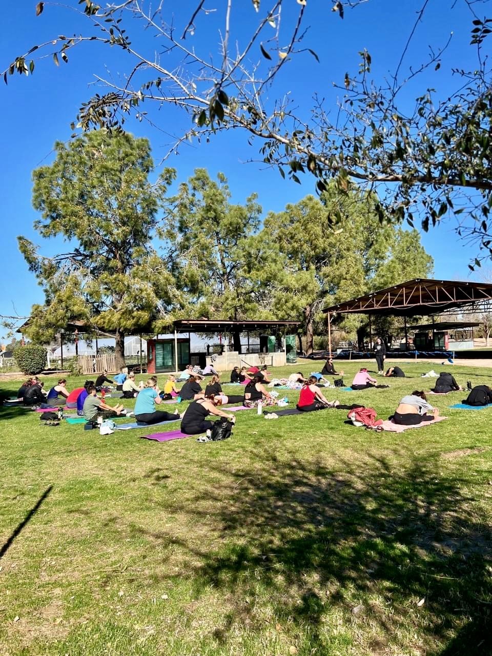 gm-5-7-23-yoga-at-schnepf-farms