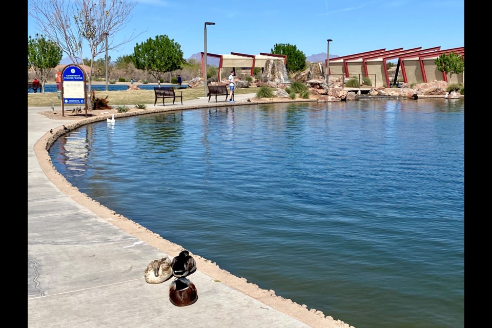 The lake at Mansel Carter Oasis Park in Queen Creek.