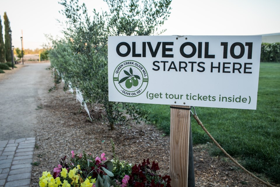 The Queen Creek Olive Mill is celebrating its olive harvest season with a special Olivepalooza Harvest Festival Dec. 10-11, 2022.