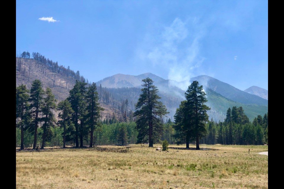 The Pipeline Fire in Coconino County on June 16, 2022.