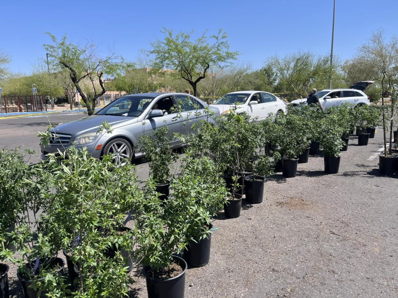 Salt River Project's (SRP) popular Shade Tree Program returns this summer with three virtual workshops in July and August. After completing one of the online classes, SRP customers in Queen Creek, San Tan Valley and others in the Southeast Valley can receive up to two free shade trees that, once fully grown, will help cool their homes and reduce energy costs during the summer months.