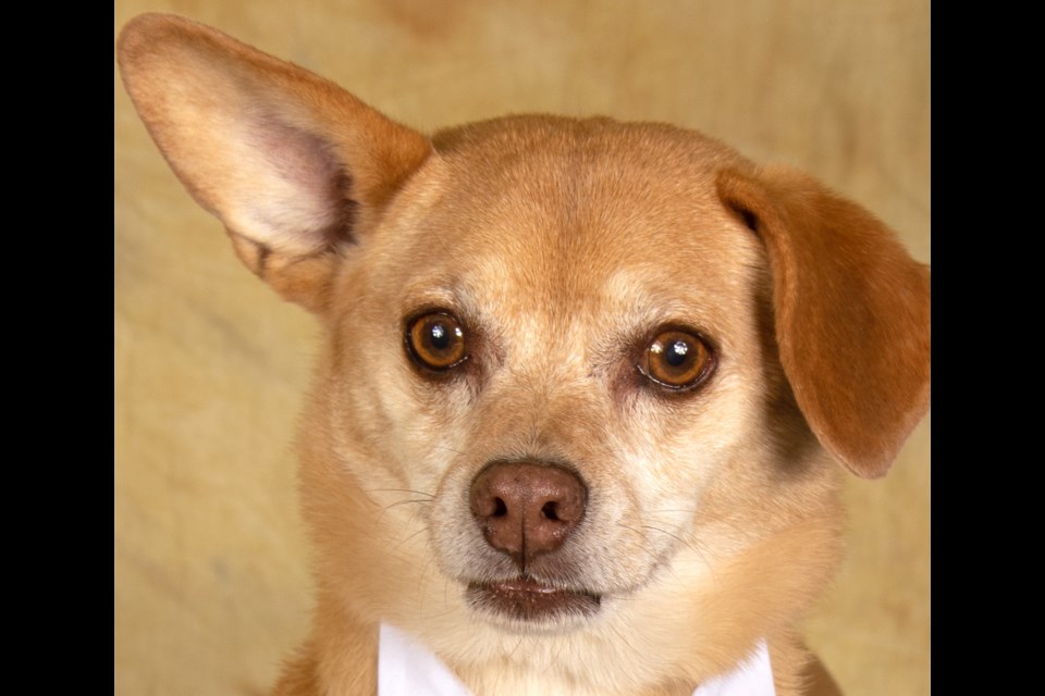 Steven's got one ear up, listening for someone to say they want to meet him. Is it you?