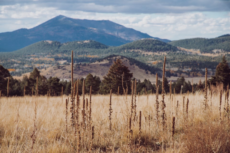 Views from Aspen Nature Loop trail.