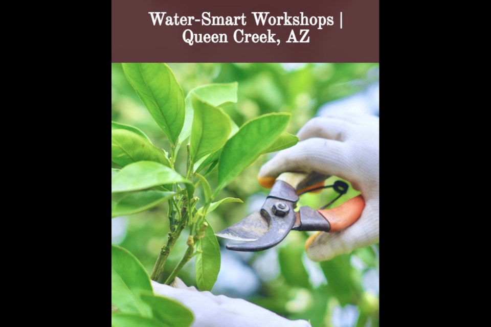 Town of Queen Creek utility customers can register for free Water-Smart Workshops. These classes provide landscaping and water conservation tips to help residents save money and water.