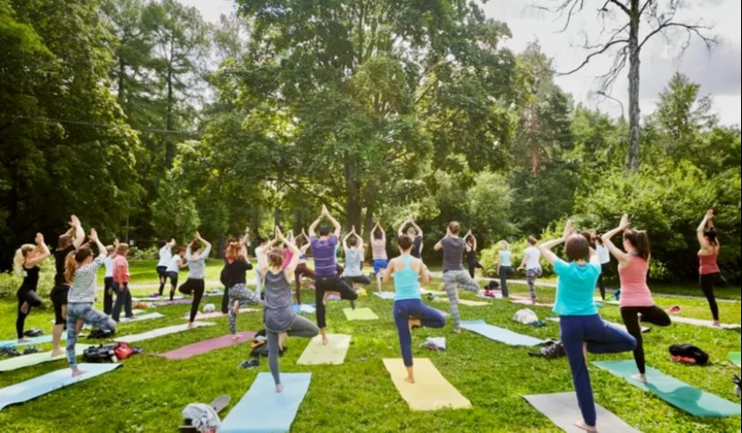 You can join FREE Yoga classes in Trillium Park on weekends