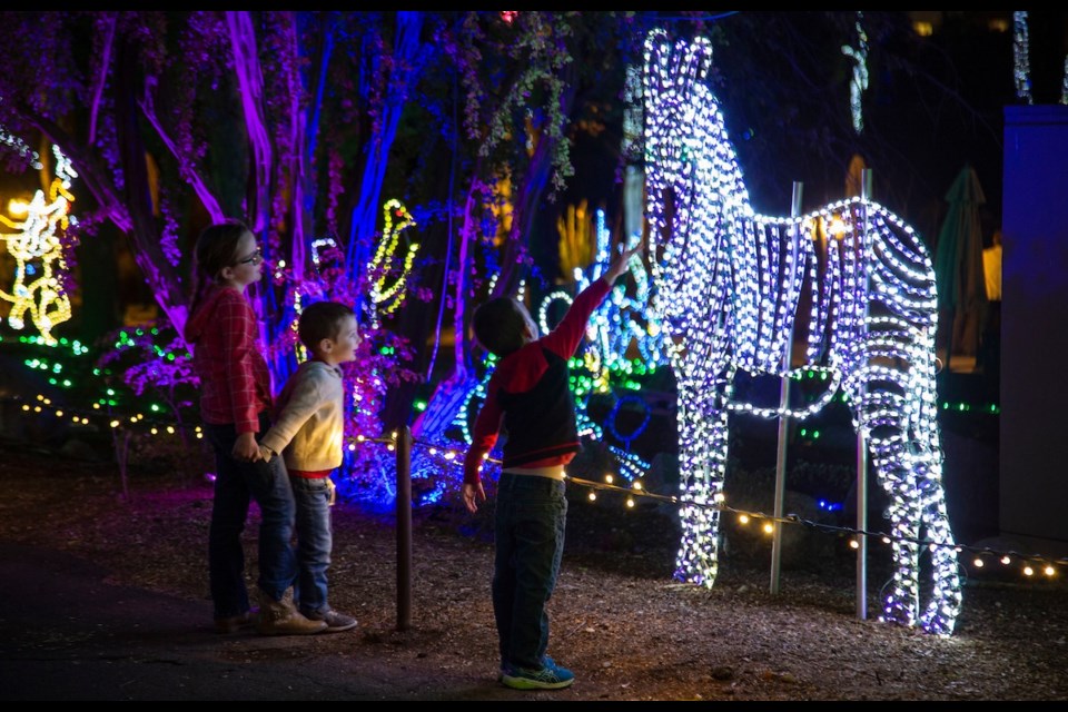 ZooLights Walk-Thru is coming to the Phoenix Zoo on select nights beginning on Nov. 24, 2021.