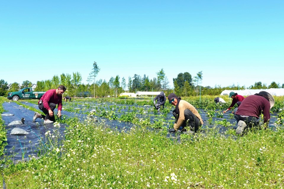 Athiana Acres on No. 2 Road is offering introductory tours about regenerative farming.