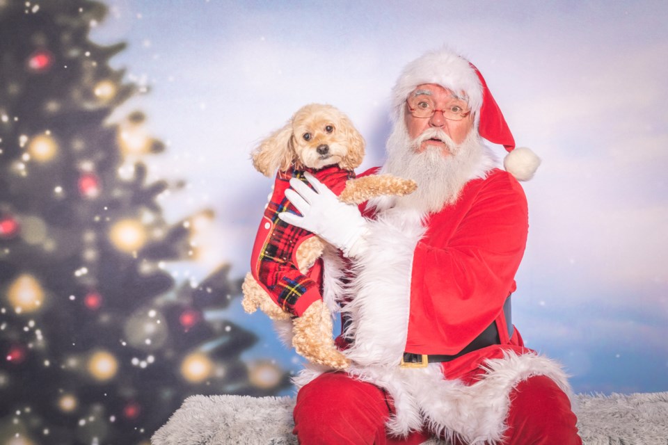 Club OpenRoad will be holding its annual pet portraits with Santa in Richmond to raise funds for RAPS.