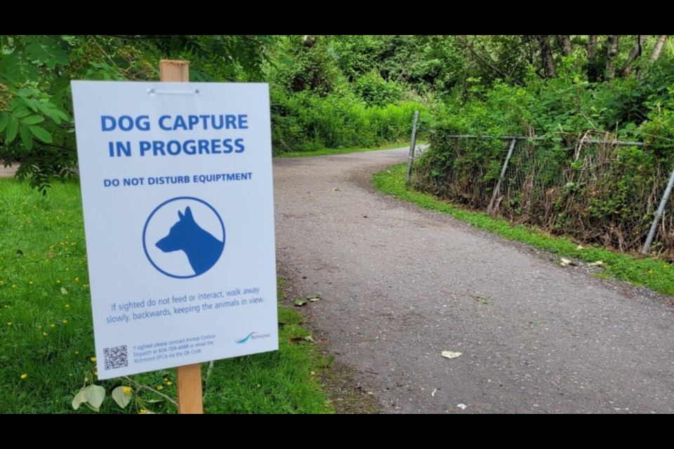 A sign warning community members of the dog capture efforts has been put up in Garden City Park.