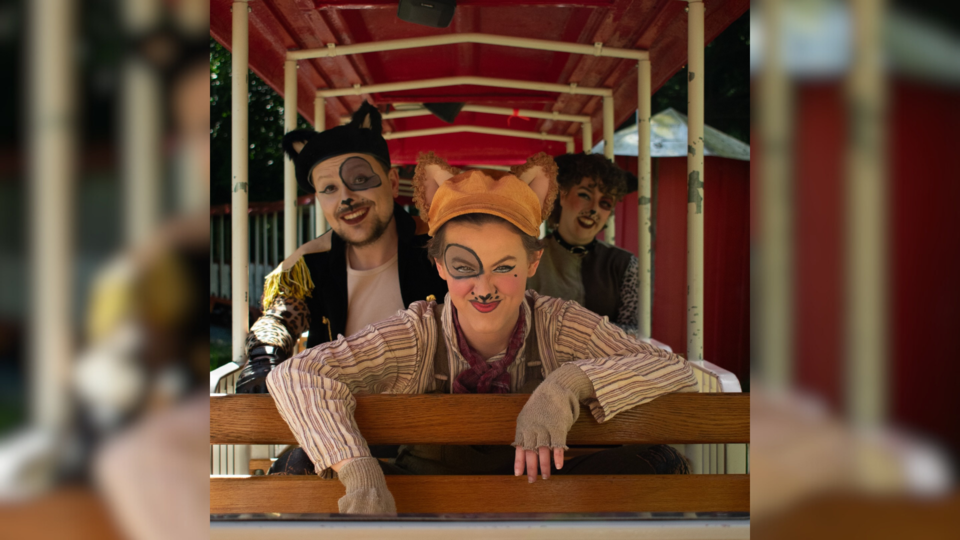 theatre-under-the-stars-vancouver-cats