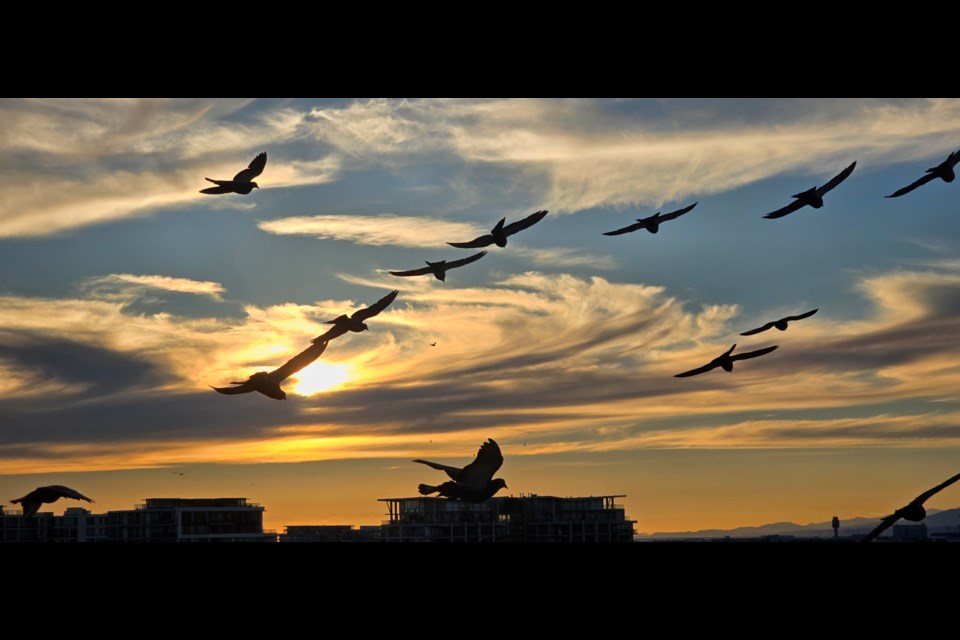 Sunset from the Vancouver International Airport terminal.