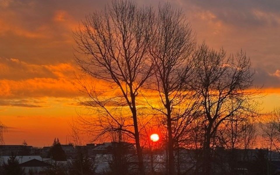 Sunrise on Tuesday morning at Britannia Shipyards.