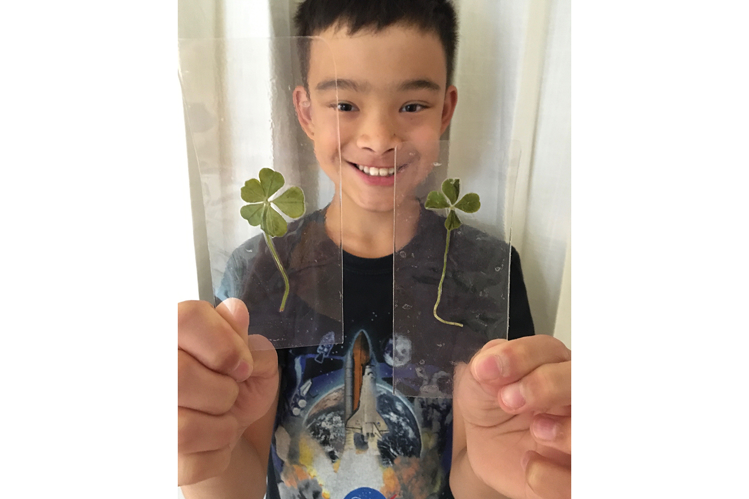 Richmond kid, 12, discovers rare 5-leaf clover - Richmond News