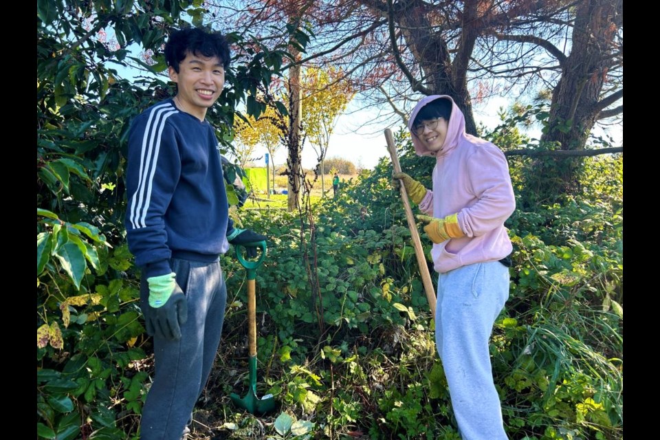 Community members pulled invasive blackberries at Terra Nova Rural Park.