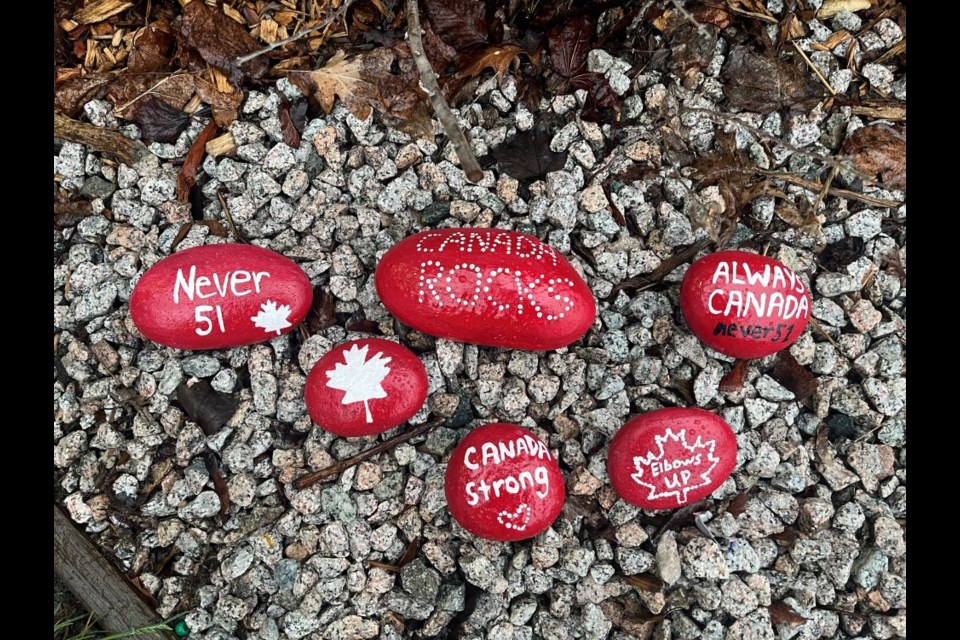 Karina Reid has painted rocks in the face of Trump tariffs and '51st state' rhetoric.