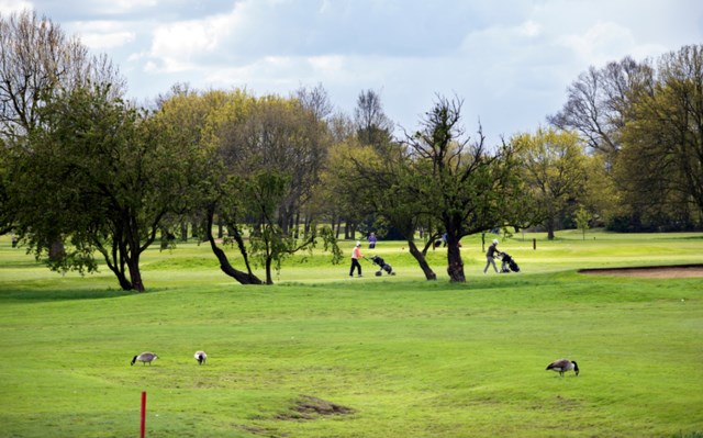 Richmond Golf main image