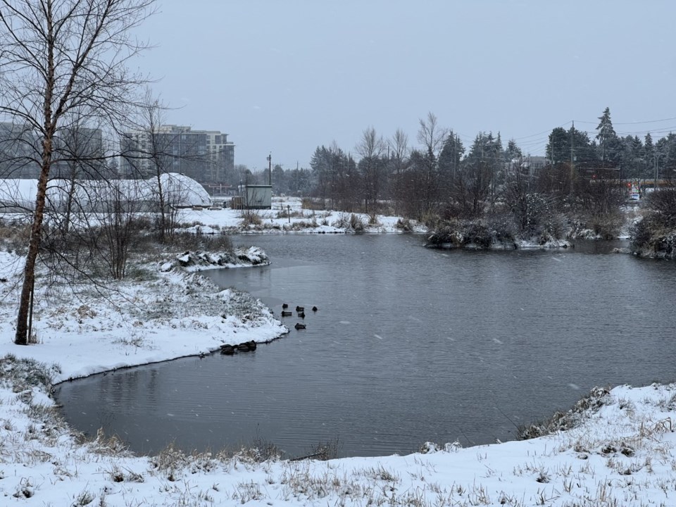 garden-city-lands-snow-2