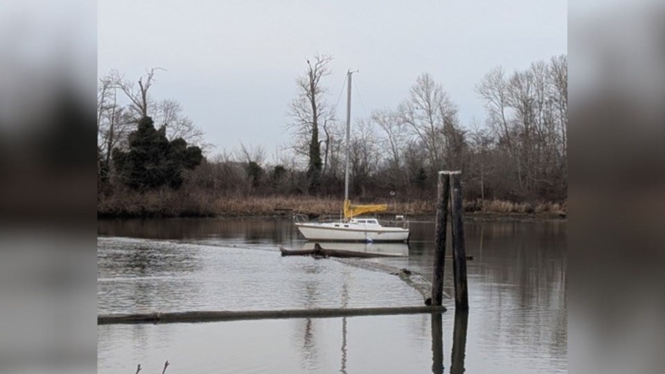 steveston-rogue-sailboat