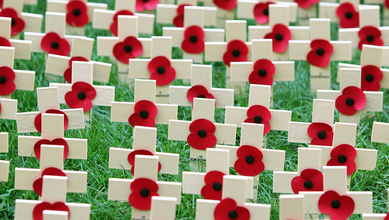 What different coloured poppies mean for Remembrance Day and why people  wear them - Mirror Online