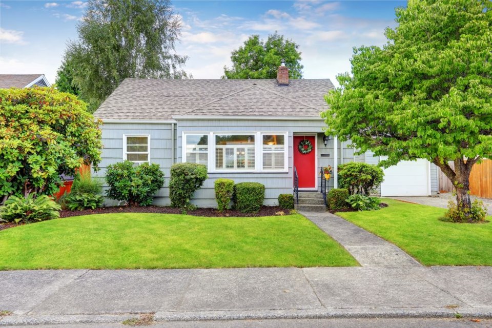 housing-trees-getty