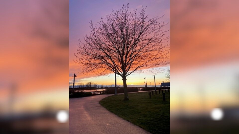 yuri-lewis-sunset-steveston-boardwalk