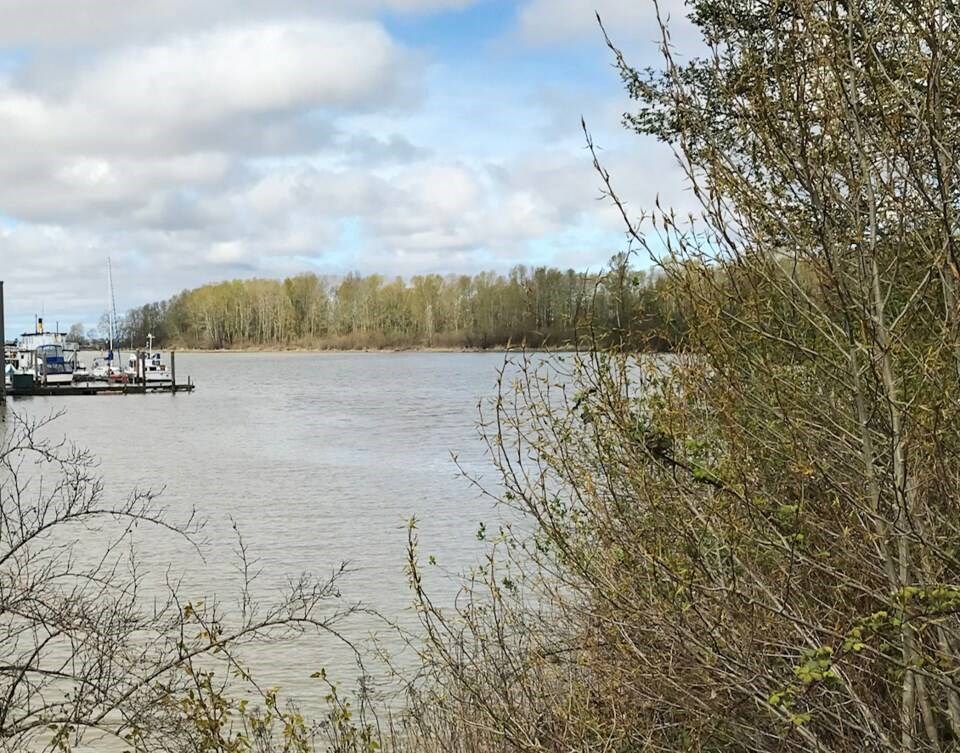 web1_fraser-river-in-delta