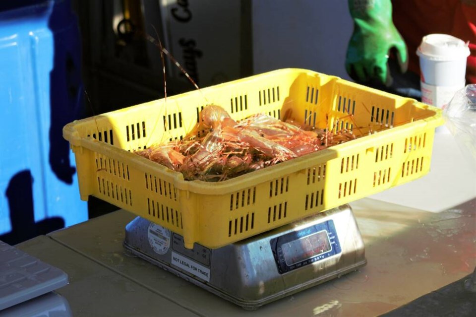 web1_spot-prawn-festival-2023_2