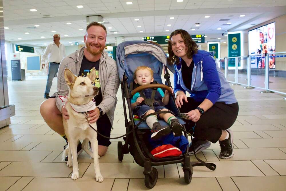 Vancouver Airport dogs destress weary travellers - Vancouver Is Awesome