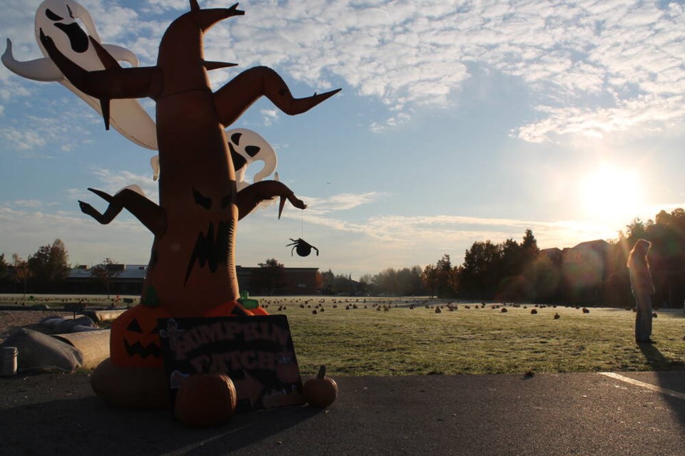 Pumpkin patch at Richmond's Anderson Elementary School. Valerie Leung photo