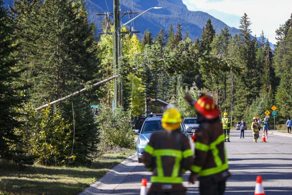 20210921 Downed Powerline 0015