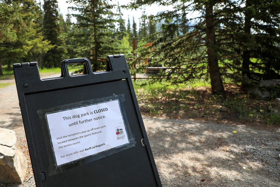 Hazards force closure of Banff s two off leash dog parks