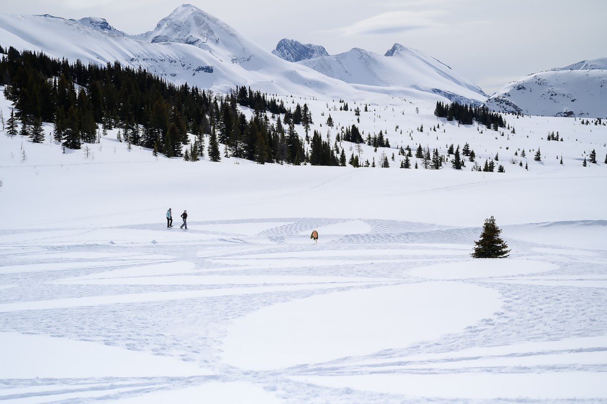 Ontario artist creates huge snowshoe art piece in Banff snow - Lakeland ...