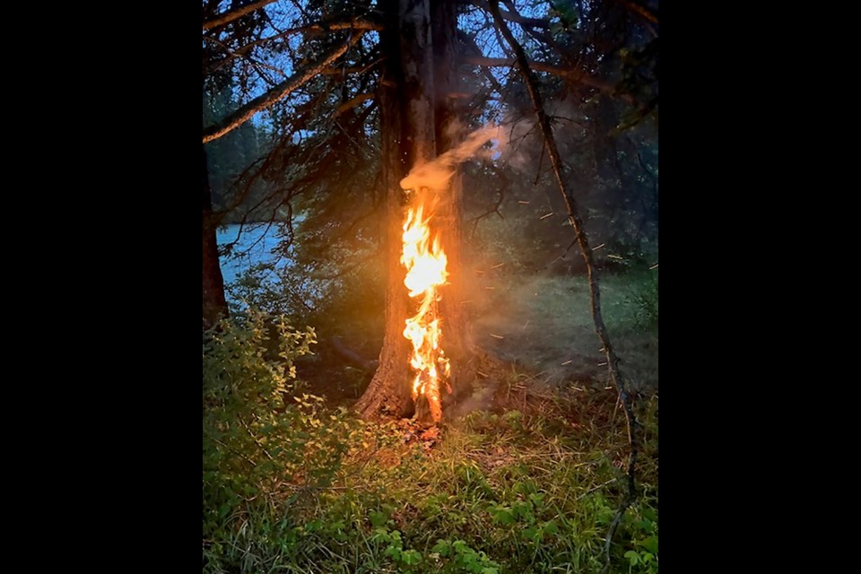 Lake Louise RCMP are investigating a tree that was deliberately set on fire in the townsite Thursday (June 27).

SUBMITTED PHOTO