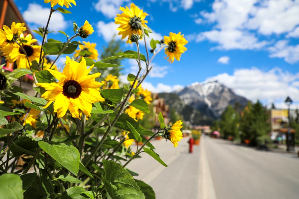 20240704-banff-avenue-pedestrian-zone-jh-0002