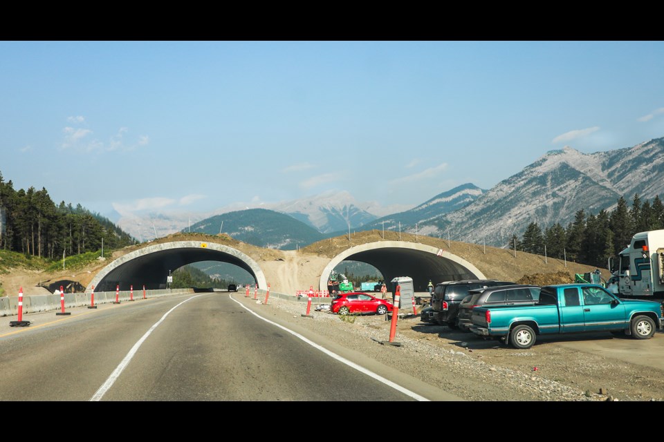 The Bow Valley Gap wildlife overpass under construction along the Trans-Canada Highway on Tuesday (July 23). JUNGMIN HAM RMO PHOTO