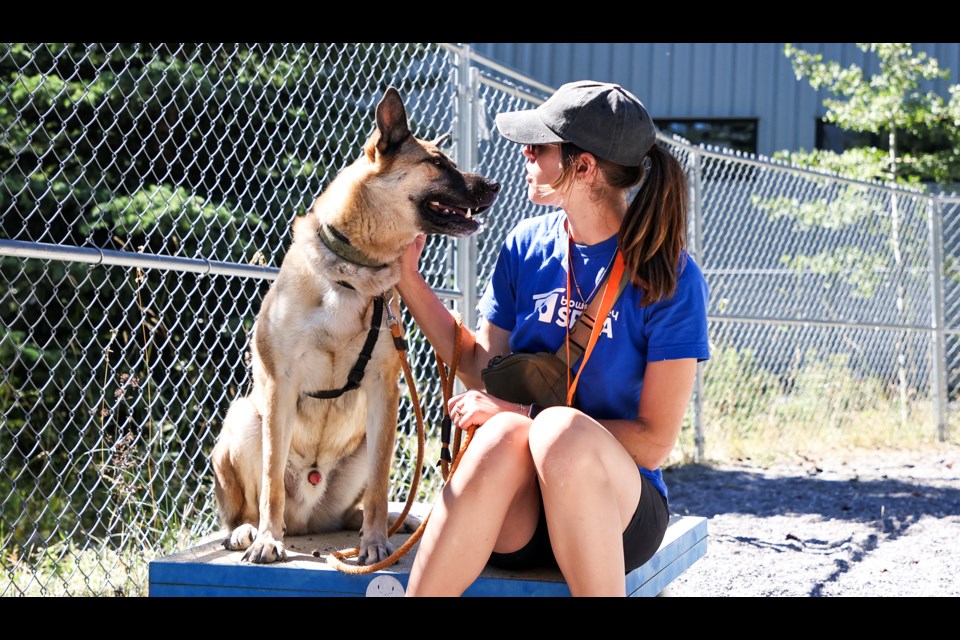 Bernard sits next to Bow Valley SPCA volunteer Elissa Doonan during the Bow Valley SPCA's first-ever Dog Day open house at the Carla Cumming Sojonky Adoption Centre in Canmore on Saturday (Aug. 31). JUNGMIN HAM RMO PHOTO