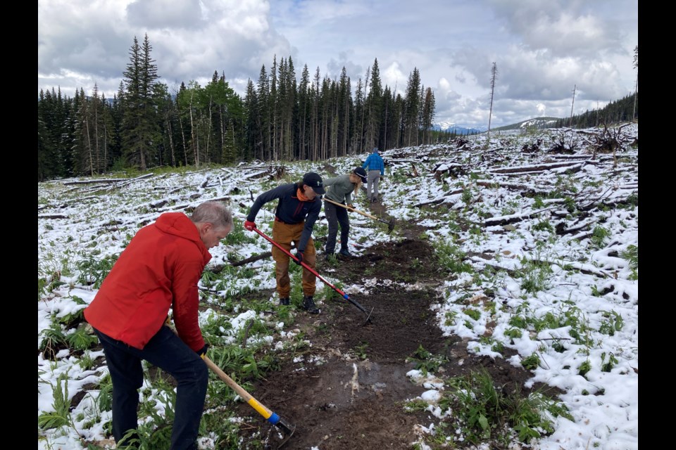 Friends of Kananaskis Country volunteers working on the Lusk Pass trail, which is part of the Trans-Canada trail.

PHOTO COURTESY FRIENDS OF KANANASKIS