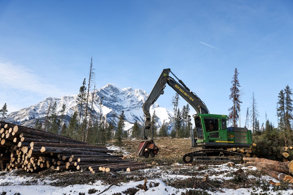 A logging crew works on Wednesday (Feb. 12) to sort and cut logs felled at Tunnel Toe as part of a wildfire risk reduction project in Banff. JUNGMIN HAM RMO PHOTO