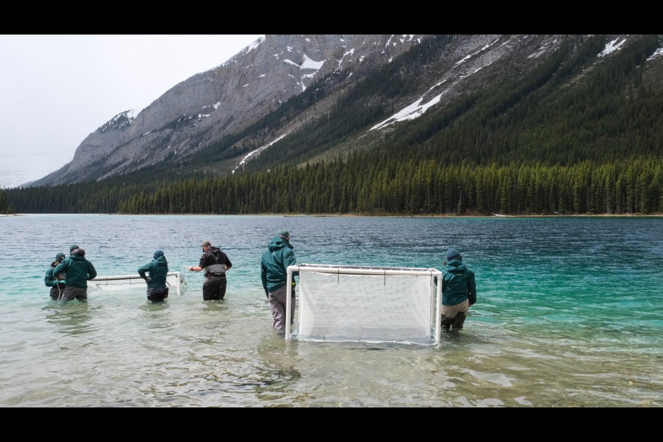 Work in Marvel Lake. PARKS CANADA PHOTO