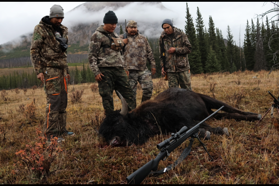 The Piikani Nation hunts the first bison in about 150 years from Banff National Park. FACEBOOK PHOTO